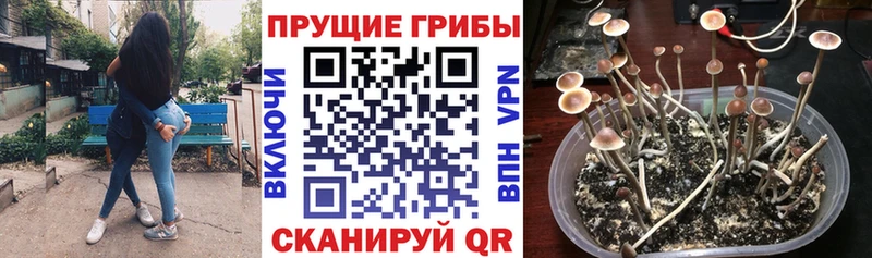 Галлюциногенные грибы ЛСД  Бугуруслан 